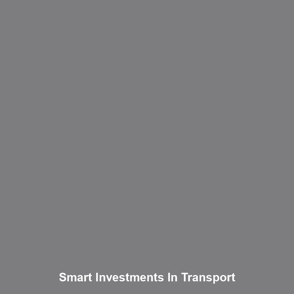 Smart Investments In Transport