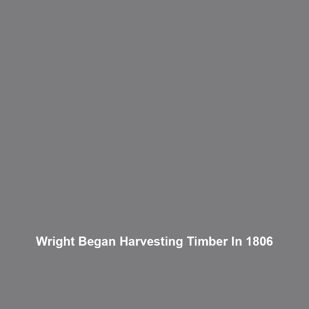 Wright Began Harvesting Timber In 1806